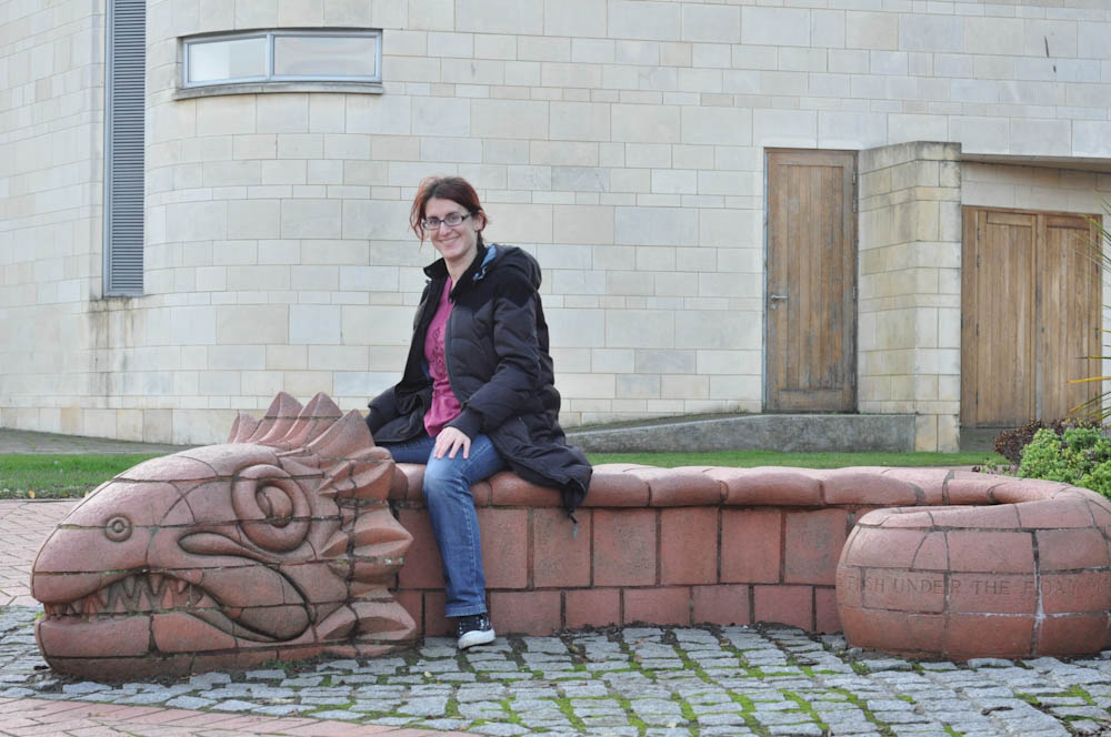Thinking of flying, in Cardiff
