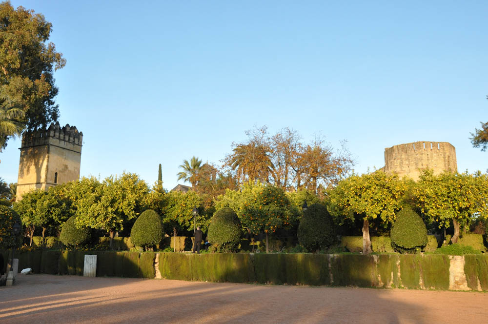 Cordoba