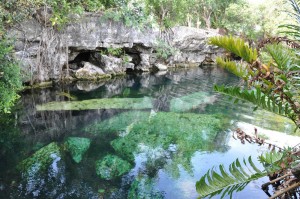 Cenote Cristalino Cenote Cristalino