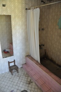 Suddenly, showering doesn't feel like such a clean activity!