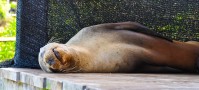 20120426-DSC_0048-2