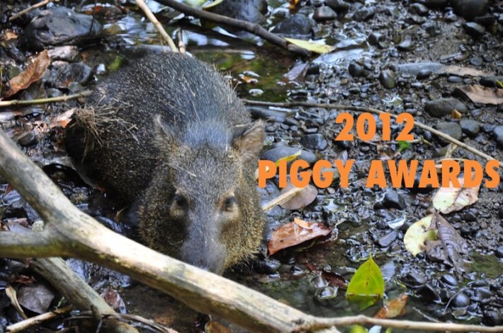 piggy