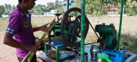 Sugarcane man