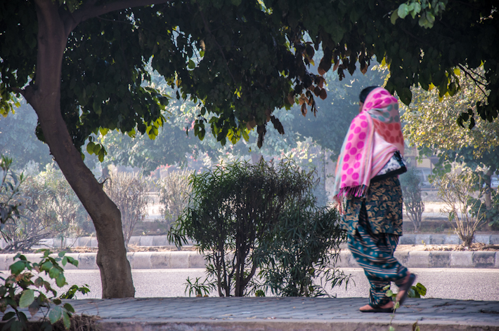 A woman walking around the Dwarka region of Delhi, where we live. A woman walking around the Dwarka region of Delhi, where we live.